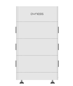 Dyness Tower S3 system; T9637S BDU and base sold, battery modules excluded